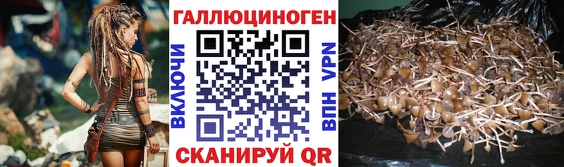 Галлюциногенные грибы мухоморы  блэк спрут ссылка  Азнакаево 